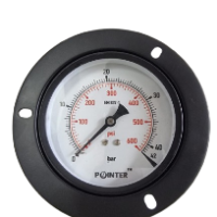 MS PRESSURE GAUGE 42BAR/600PSI WITH COLLAR BACK CONN DIAL (4'')