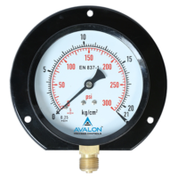 MS PRESSURE GAUGE 21BAR /300PSI WITH COLLAR DIAL (4'')