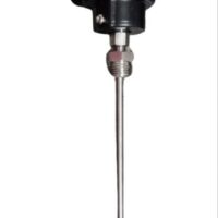 PT 100 DIAL 8MM X L- (100MM & 200MM) (DUPLEX)