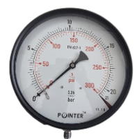 MS PRESSURE GAUGE 21BAR/300PSI BOTTOM CONNECTION WITH COLLAR DIAL (10'')