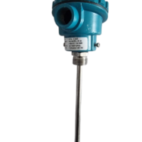PT 100 DIAL – 10MM X L -100MM,300MM,350MM (SIMPLEX)