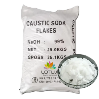 RO MEMBRANE CLEANER ALKALINE++ (CAUSTIC SODA)