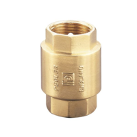 Non Return Valve (NRV) – Pegler