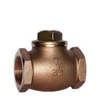 STEAM CHECK VALVE - (PEGLER) (NRV)