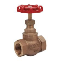 DISC STEAM GLOBE VALVE - PEGLER