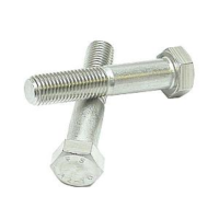 SS 304 Hex Bolt