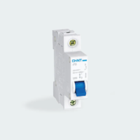 CHINT Miniature Circuit Breaker (MCB)  C4 SINGLE