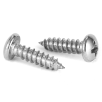 SS 304 SCREW 4 X 12