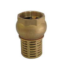 FOOT VALVE ITALIAN (BRASS)