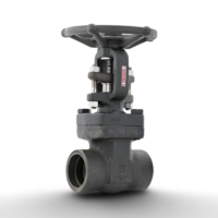 25 mm L&T Forged Steel Gate Valve – A105, Class 800