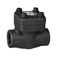Forged Steam Check Valve